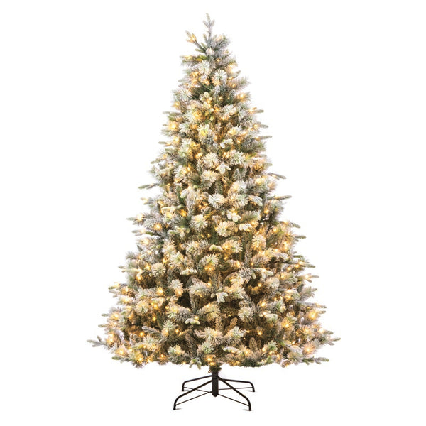 National Tree Stamford Spruce Pine Pre-Lit Christmas Tree