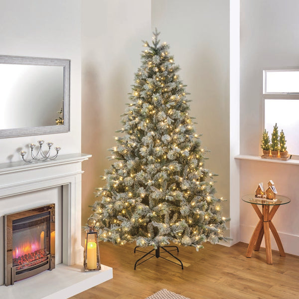 National Tree Stamford Spruce Pine Pre-Lit Christmas Tree