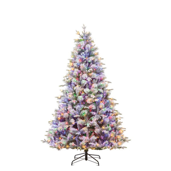 National Tree Stamford Spruce Pine Pre-Lit Christmas Tree