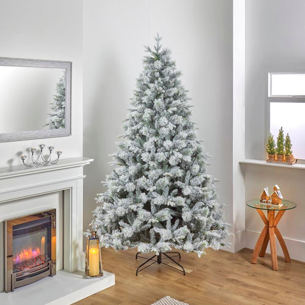National Tree Stamford Spruce Pine Pre-Lit Christmas Tree