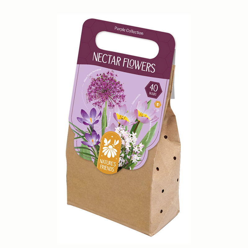 Nectar Flowers Purple Collection of Mixed Bulbs
