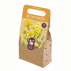 Nectar Flowers Yellow Collection of Bulbs