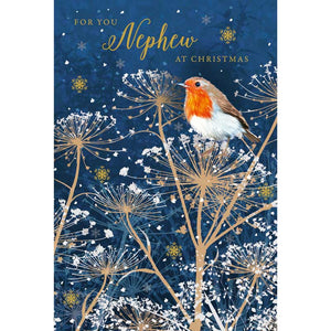 Nigel Quiney Nephew Robins Christmas Card