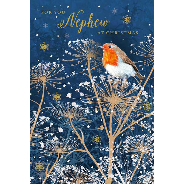 Nigel Quiney Nephew Robins Christmas Card