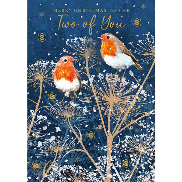 Nigel Quiney Two Of You Robins Christmas Card