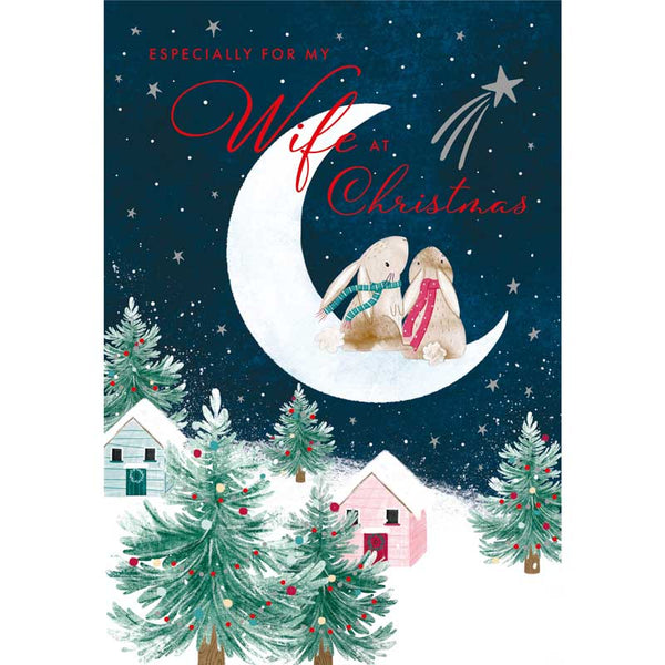 Nigel Quiney Wife Bunnies On The Moon Christmas Card