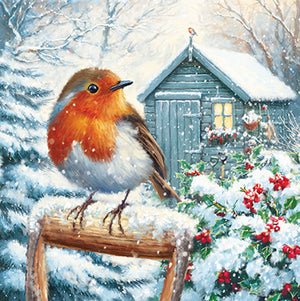 Paper House Christmas Garden Birds Cards (Pack of 16)