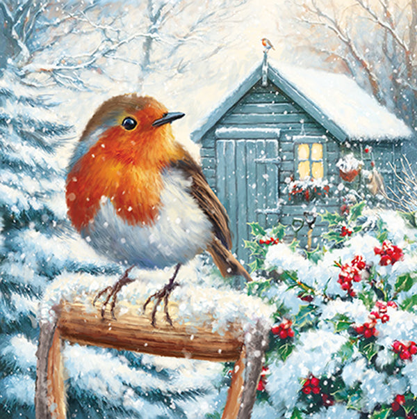 Paper House Christmas Garden Birds Cards (Pack of 16)