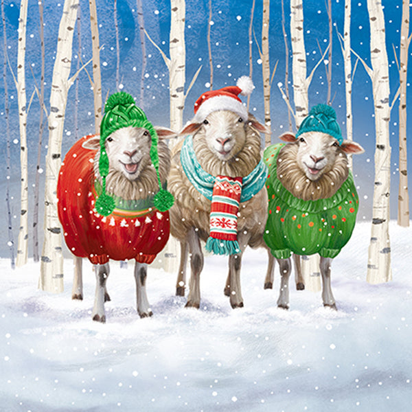 Paper House Christmas Jumper Sheep Cards (Pack of 16)