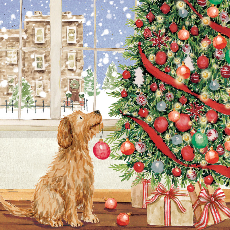Paper House Festive Dogs Luxury Cards (Pack of 16)