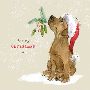 Paper Shed Chocolate Labrador Christmas Card