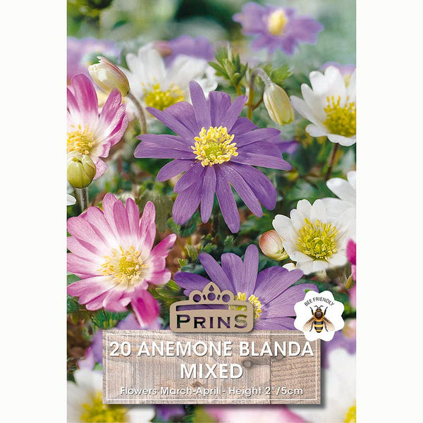 Anemone Blanda Mixed (20 Bulbs)