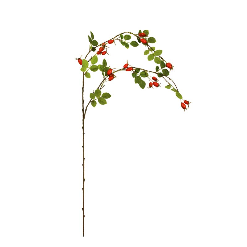 SageDecor Rosehip Trailing Spray (96cm)