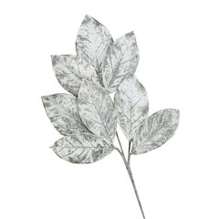 Swift Snowy Magnolia Leaf Spray