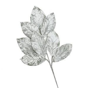 Swift Snowy Magnolia Leaf Spray