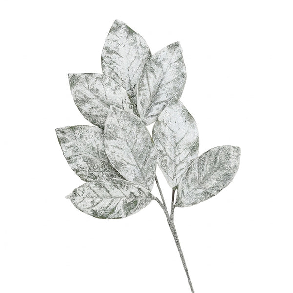 Swift Snowy Magnolia Leaf Spray