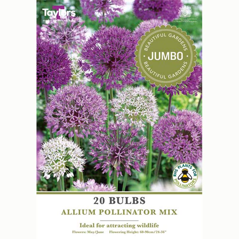 Allium Pollinator Mix (20 Bulbs)