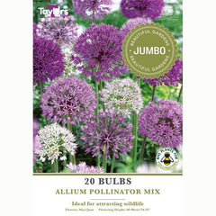 Allium Pollinator Mix (20 Bulbs)
