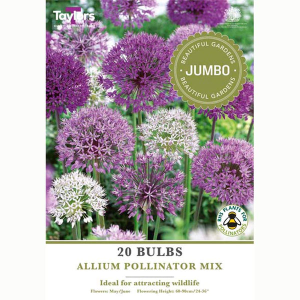 Allium Pollinator Mix (20 Bulbs)