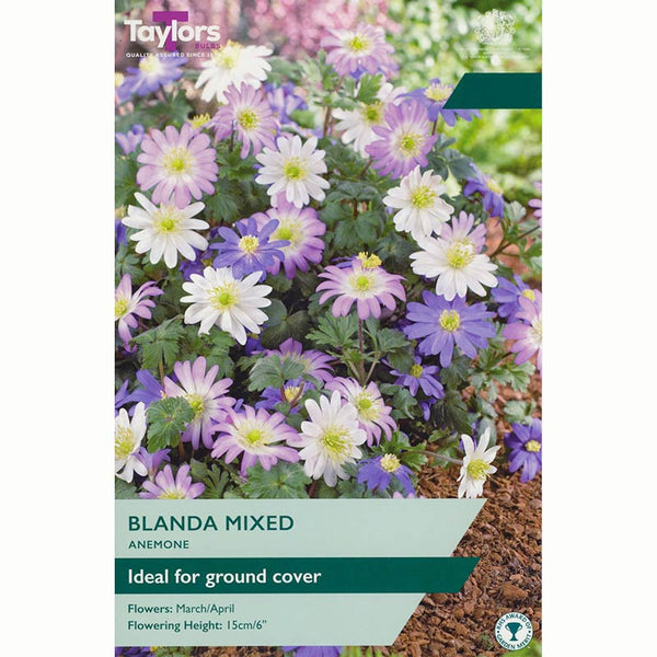 Taylors Anemone Blanda Mixed Bulbs