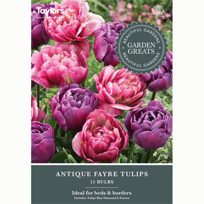 Tulip Antique Fayre Mix (15 Bulbs)