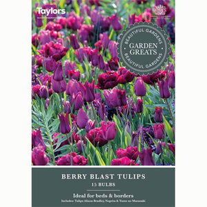 Tulip Berry Blast Mix (15 Bulbs)