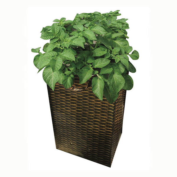 Outdoor Potato Growing Bag