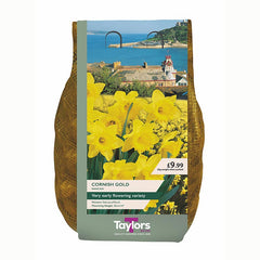Narcissus 'Cornish Gold' Daffodil Bulbs (2kg Bag)