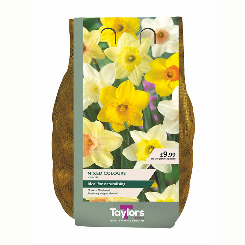 Mixed Daffodils (2kg Bag of Bulbs)