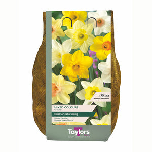 Mixed Daffodils (2kg Bag of Bulbs)