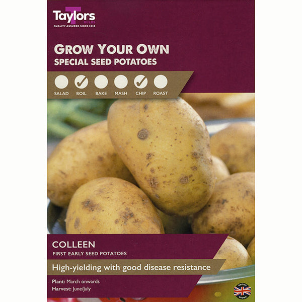 Colleen First Early Seed Potatoes (Taster Pack of 8)