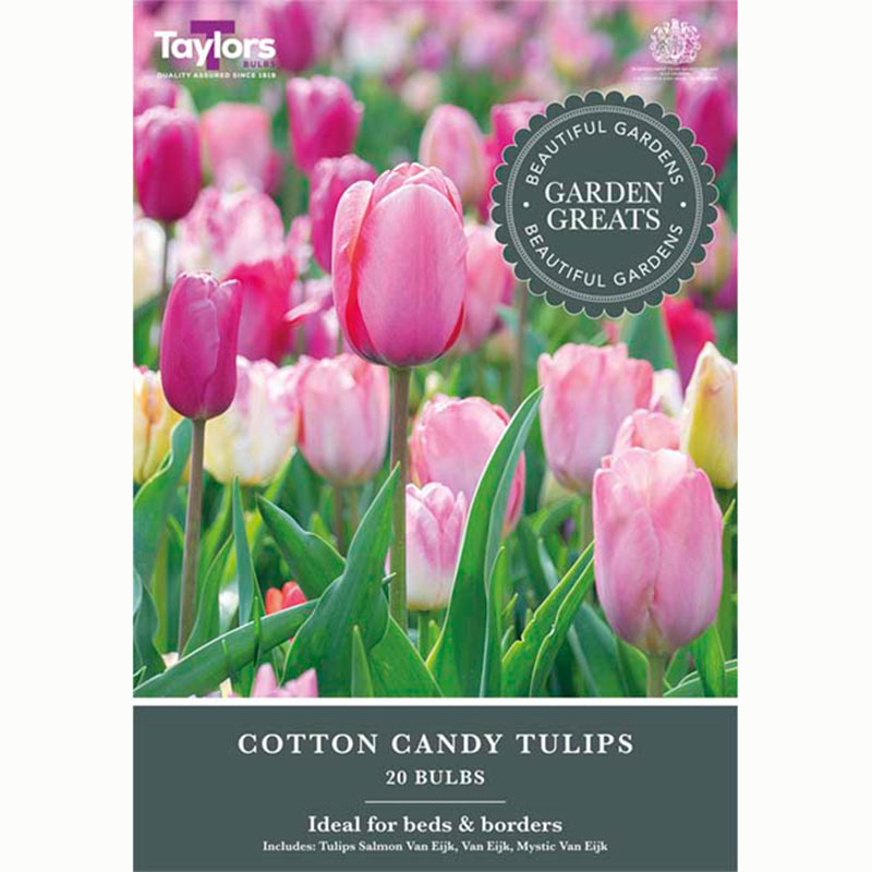 Tulip Cotton Candy Mix (20 Bulbs)