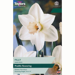Narcissus ‘Filly’ Daffodils (7 Bulbs)