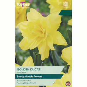 Narcissus ‘Golden Ducat’ Double Daffodil (6 Bulbs)