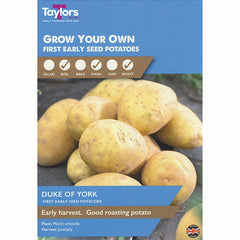 Duke of York First Early Seed Potatoes (Taster Pack of 10)