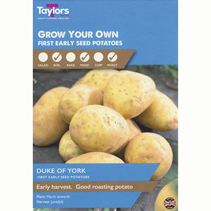 Duke of York First Early Seed Potatoes (Taster Pack of 10)