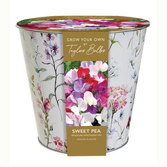 Taylors Floral Zinc Sweetpea Planter Set