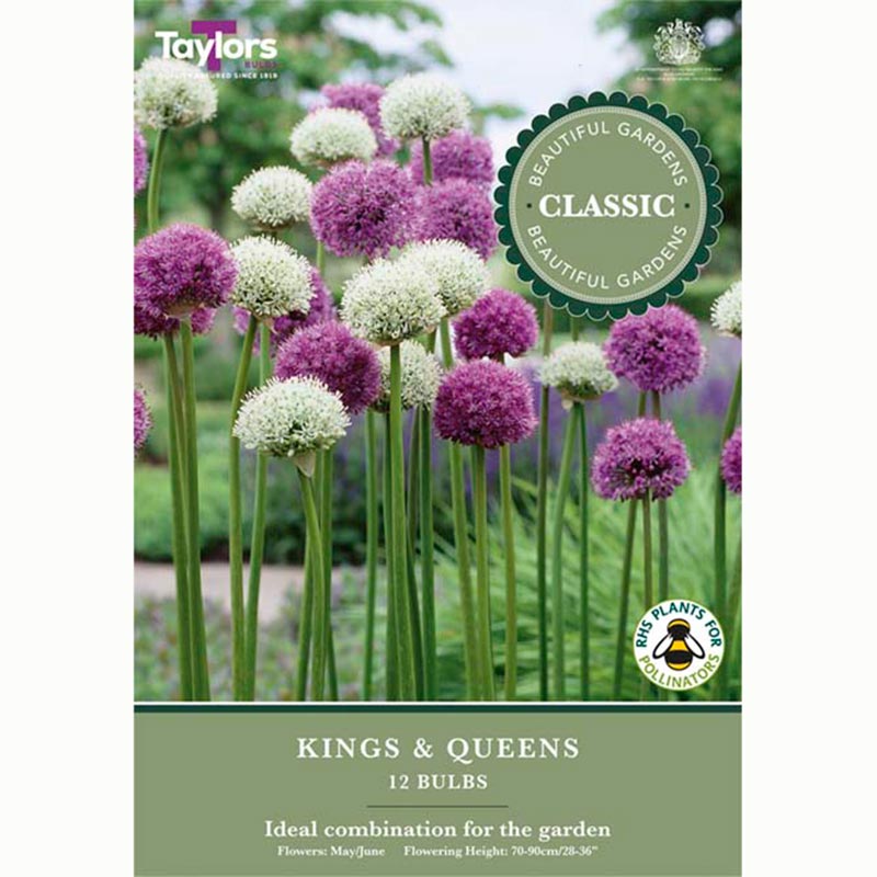 Kings and Queens Mix (12 Bulbs)