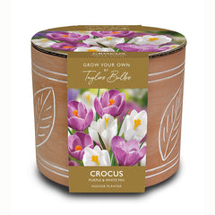 Taylors Leaf Motif Terracotta Planter
