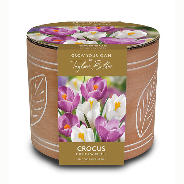 Taylors Leaf Motif Terracotta Planter