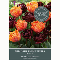 Tulip Midnight Flame Mix (16 Bulbs)