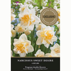 Narcissus ‘Sweet Desire’ Daffodil (6 Bulbs)