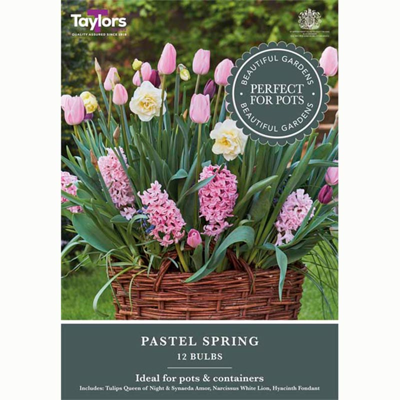 Pastel Spring Mix (12 Bulbs)