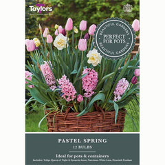 Pastel Spring Mix (12 Bulbs)