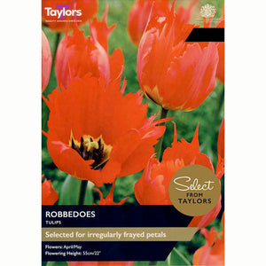 Tulip ‘Robbedoes’ (6 Bulbs)