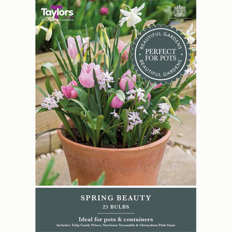 Spring Beauty Mix (25 Bulbs)