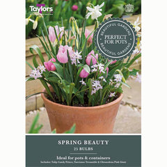 Spring Beauty Mix (25 Bulbs)