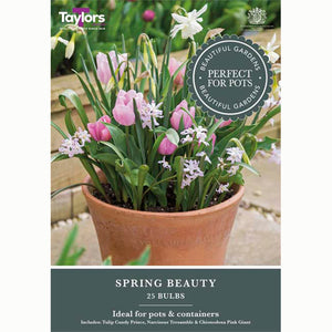 Spring Beauty Mix (25 Bulbs)