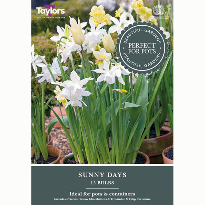 Sunny Days Mix (15 Bulbs)