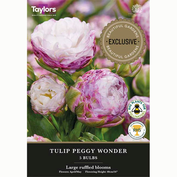 Tulip ‘Peggy Wonder’ (5 Bulbs)